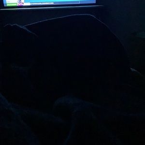 Meet your Posher, Carol